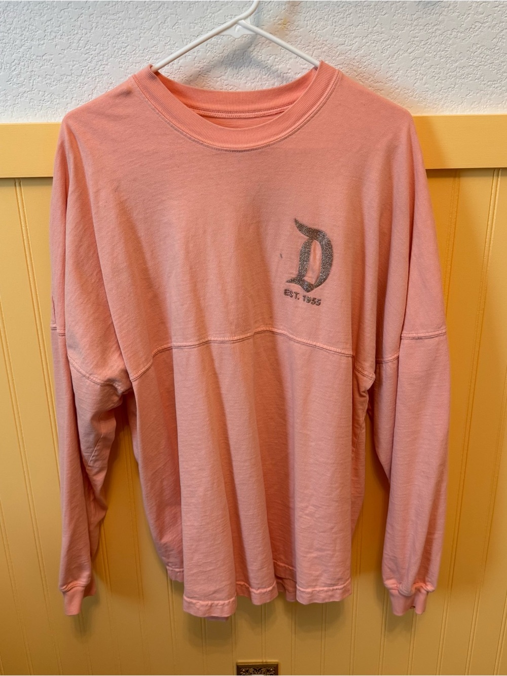 Disneyland Rose gold spirit jersey - see description